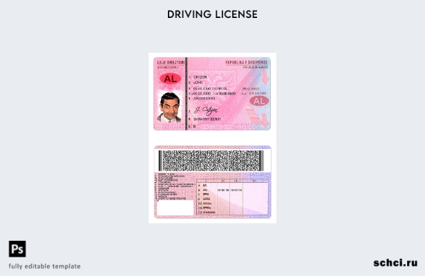 цифровая загрузка шаблона Албании DL ( )